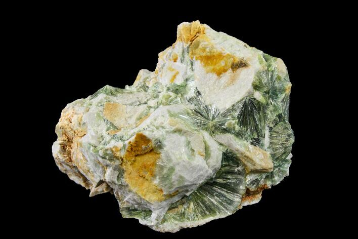Radiating, Green Wavellite Crystal Aggregation - Arkansas #163058